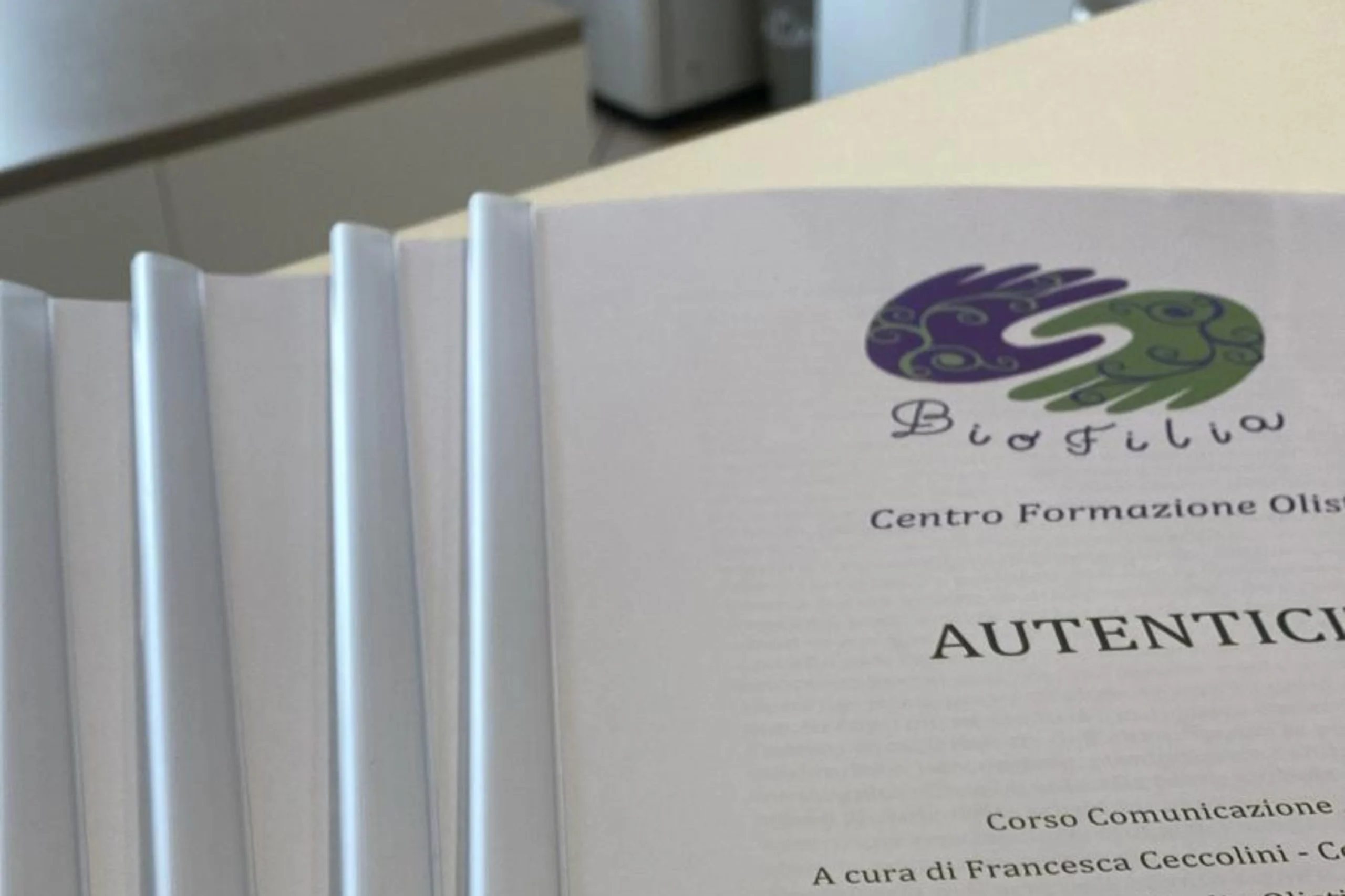 Rilegatura listello plastica